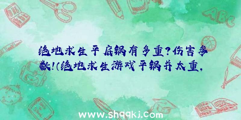 绝地求生平底锅有多重？伤害参数！（绝地求生游戏平锅并太重,提议大伙儿见到以后都拾起来）